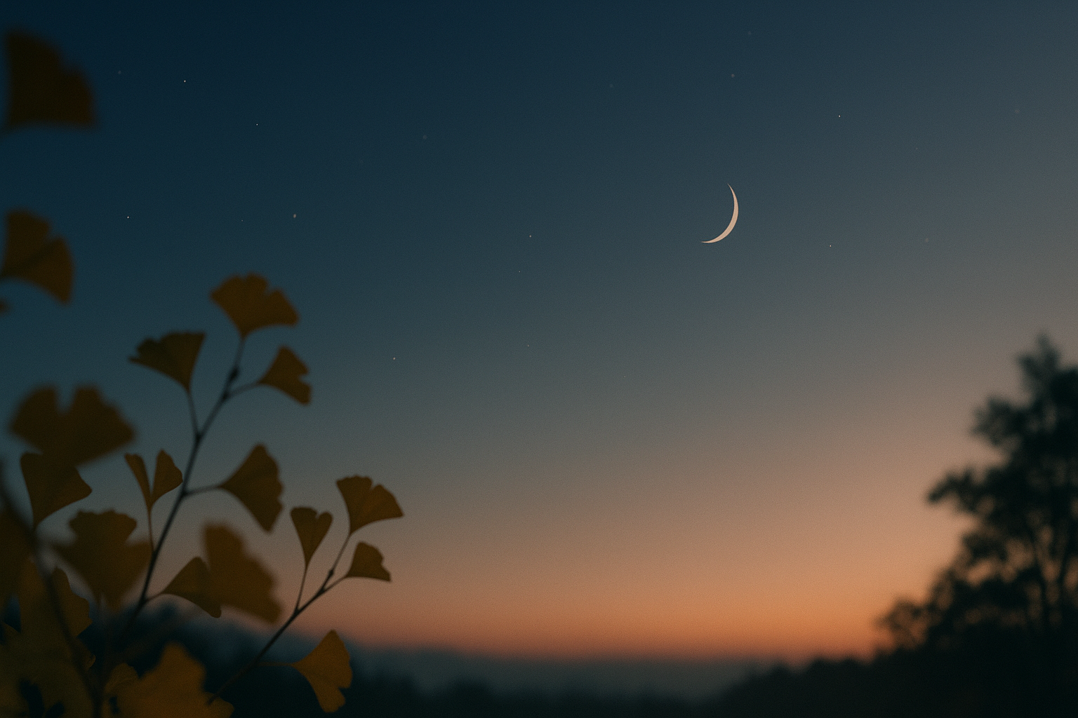 11月の12星座運勢